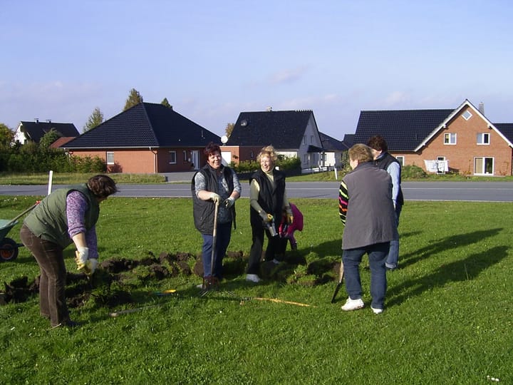 Foto aus Narzissen im Frühling · 2009