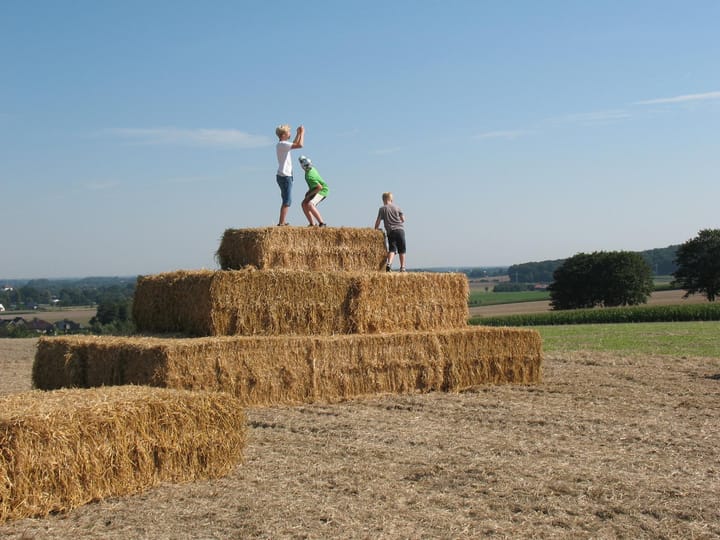 Foto aus Kleifest 2015 · 2015