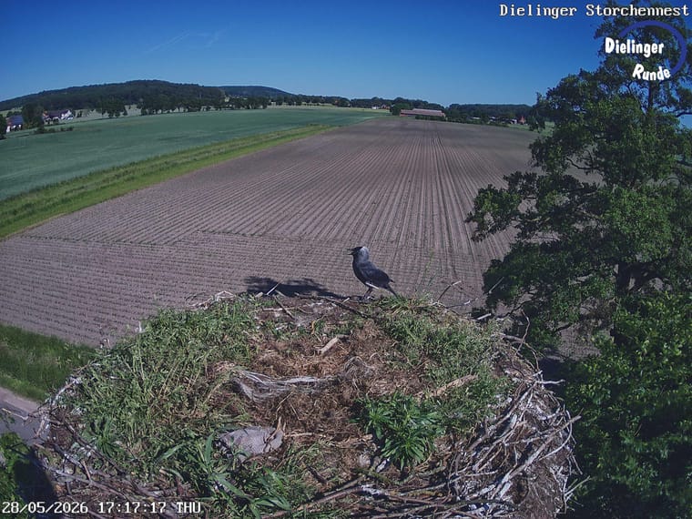 Dielinger Storchennest mit weitem Blick ueber die Felder